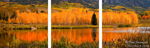 Be Different Triptych