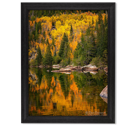 21x28 21x28 Restoration Black Oak – US Scenics