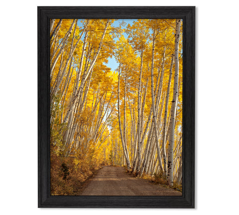 Last Dollar Road - 21x28 Restoration Black Oak