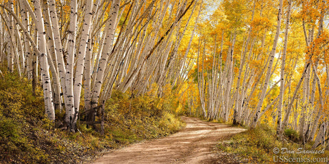 Last Dollar Road Autumn