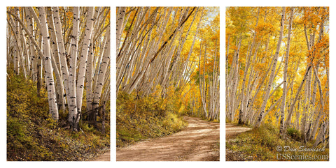 Last Dollar Road Autumn Triptych