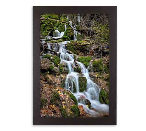 Mossy Waterfall