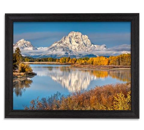 New Oxbow Bend - 21x28 Restoration Black Oak