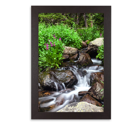 Silky Waterfall / Flowers