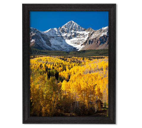 Wilson Peak - 21x28 Restoration Black Oak