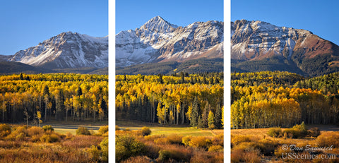 Wilson Splendor Triptych