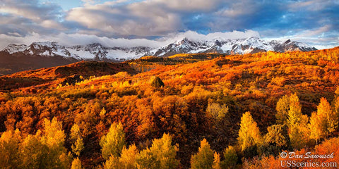 fall colors at the dallas divide near ridgway colorado