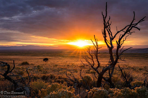 sunset near the great sand dunes national park
