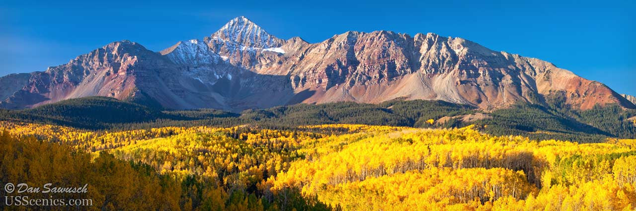 yellow fall aspens in front of wilson peak near telluride colorado