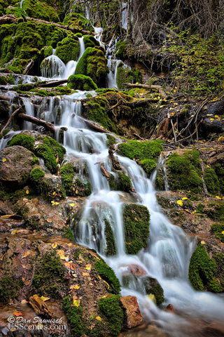 Mossy Waterfall V