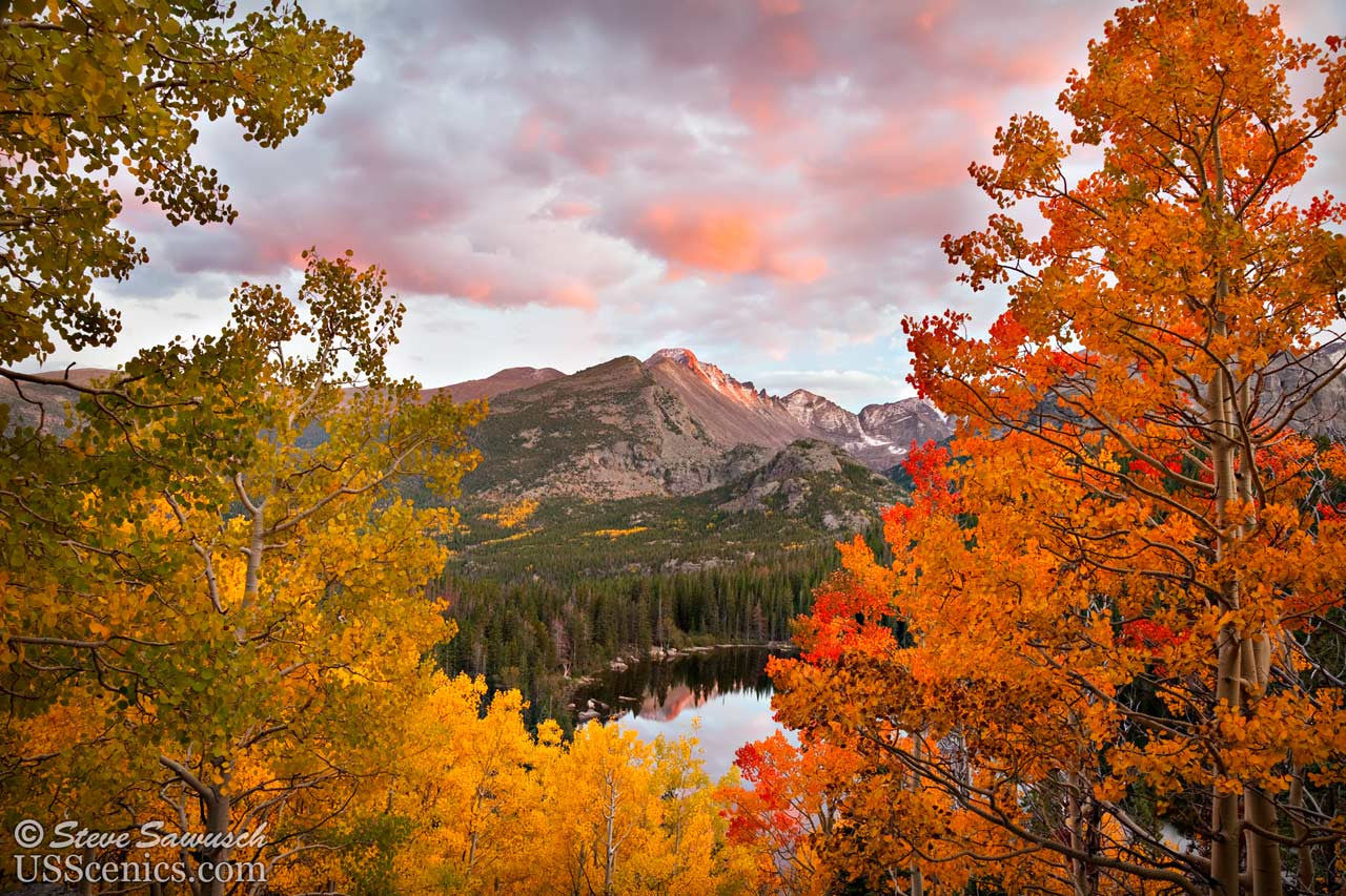 Orange, red, yellow and green fall aspens at a Bear Lake sunset in Rocky Mountain National Park near Estes Park, Colorado