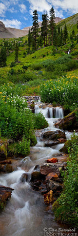Summer waterfall in Yankee Boy Basin with flowers near Ouray, Colorado